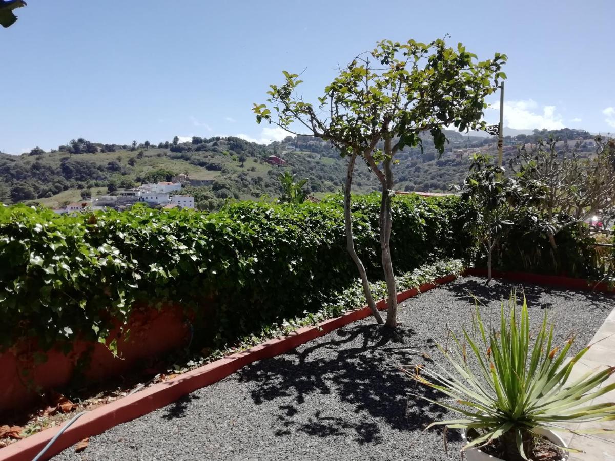 Apartamento Lemmon Tree サンタ・ブリヒダ エクステリア 写真