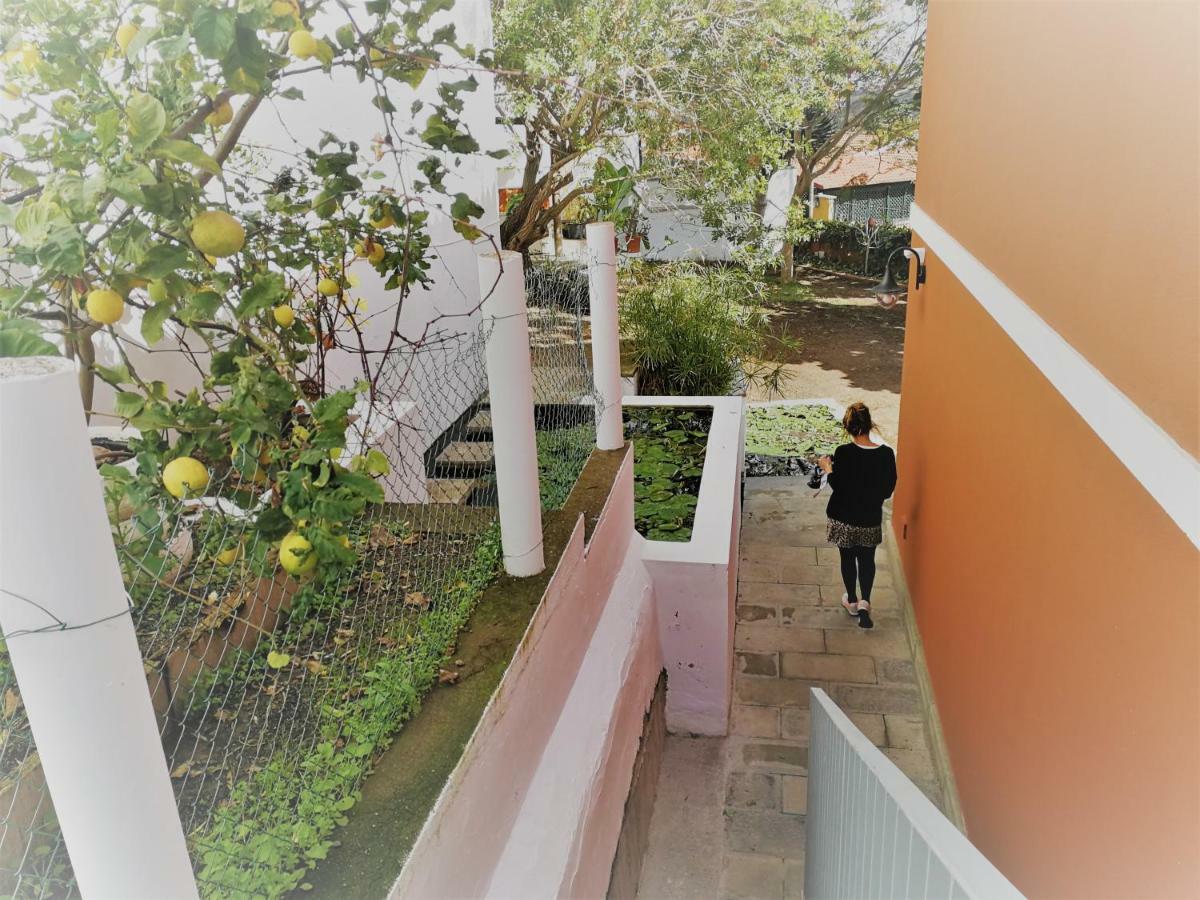 Apartamento Lemmon Tree サンタ・ブリヒダ エクステリア 写真